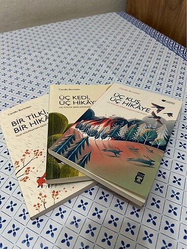 3 ve 4 sınıf 8/10 yaş kitap