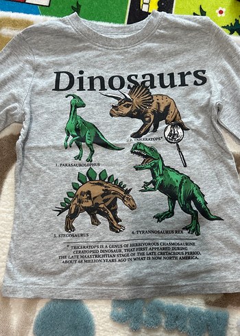 Gri Erkek Çocuk Uzun Kollu Dinozor Baskılı Tişört