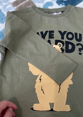 Zara Erkek Çocuk Uzun Kollu Baskılı Tişört