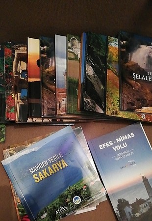 Cat Collection özel satış