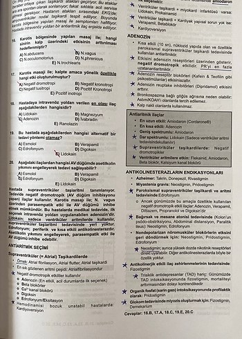  Beden Klinisyen temel vaka tek kitap fiyatı