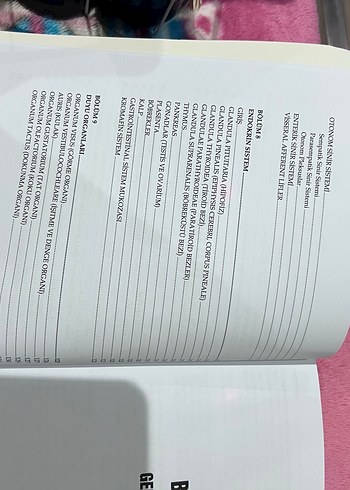 İnsan Anatomisi - Akademi Yayınları - Görsel 4