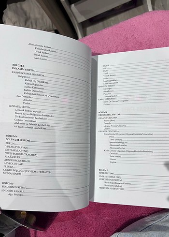 İnsan Anatomisi - Akademi Yayınları - Görsel 3