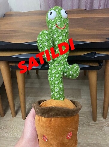 Konuşan şarkı söyleyen dans eden kaktüs