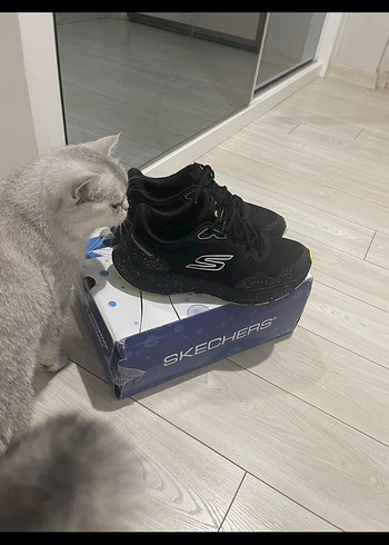 Skechers 40