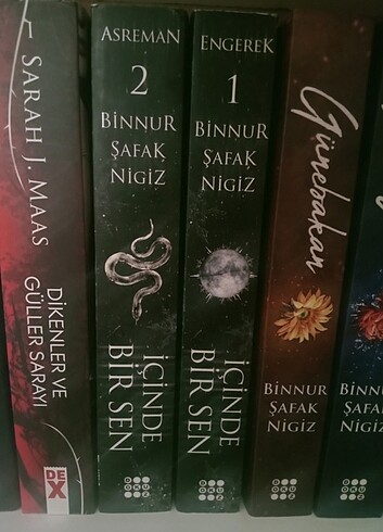 İçinde bir sen engerek ansreman