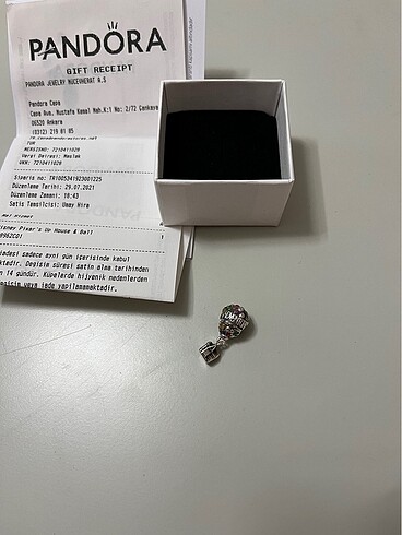Pandora Disney up charm