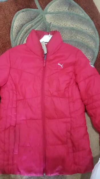Puma Puma momt