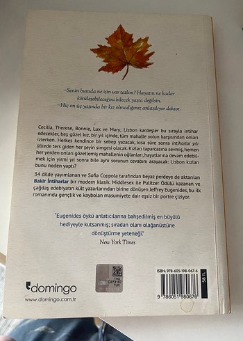 Bakir İntiharlar - Jeffrey Eugenides - Görsel 2