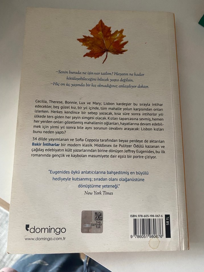 Bakir İntiharlar - Jeffrey Eugenides - Görsel 2