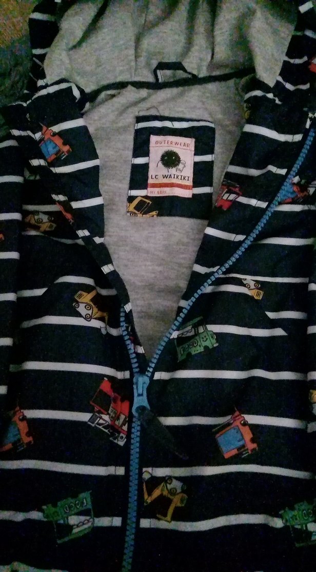 Kapüşonlu Baskılı Erkek Çocuk Yağmurluk - Görsel 4