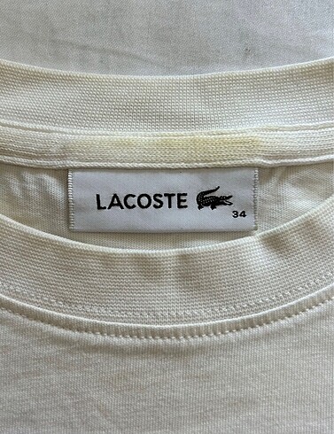 xs Beden Lacoste tişört