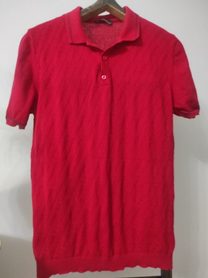 Erkek Kırmızı Kısa Kollu Polo Tişört - Görsel 2