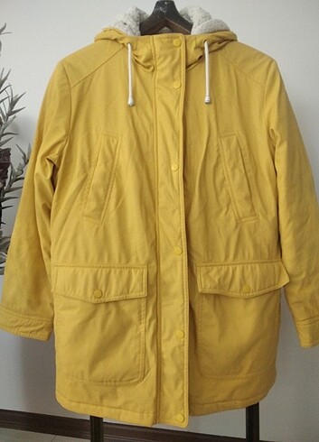 Kaban tertemiz  - Görsel 2