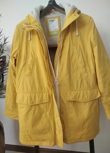 Kaban tertemiz  - Görsel 3