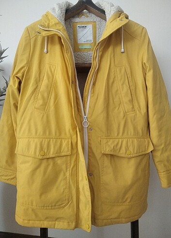 Kaban tertemiz  - Görsel 4