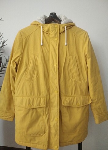 Kaban tertemiz  - Görsel 5