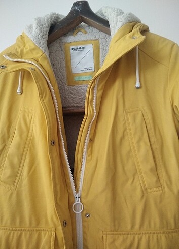 Kaban tertemiz  - Görsel 6