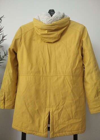 Kaban tertemiz  - Görsel 7