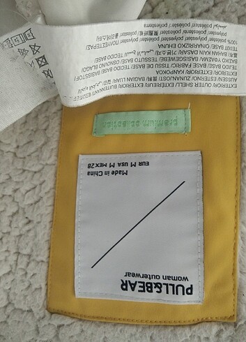 Kaban tertemiz  - Görsel 8