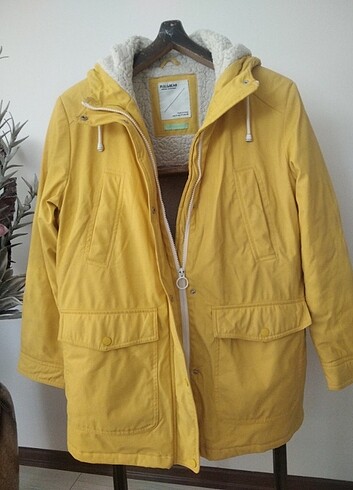 Kaban tertemiz  - Görsel 9