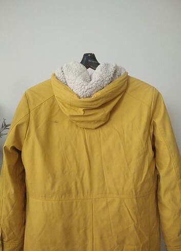 Kaban tertemiz  - Görsel 10