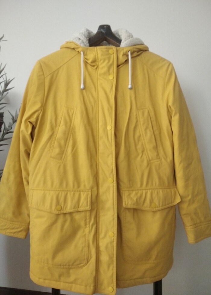 Kaban tertemiz  - Görsel 5