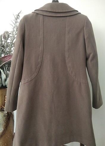 Kaban tertemiz  - Görsel 6