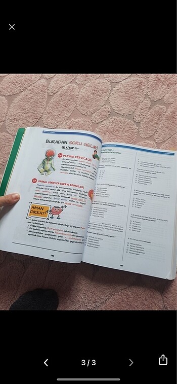 Kitap