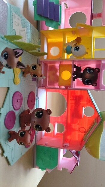  Beden Littler Pet Shop Minik Apartmanı