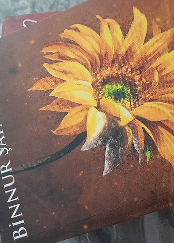  Beden Binnur Şafak nigiz is serisi 3 kitap