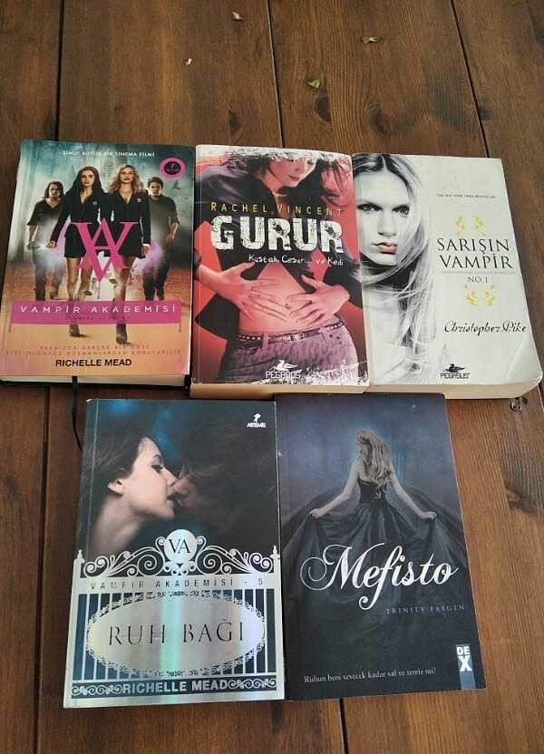 5 kitap 100 TL tekli tekliflere açığım #kitap #gurur #vampirakad - Görsel 2