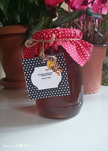 #honey