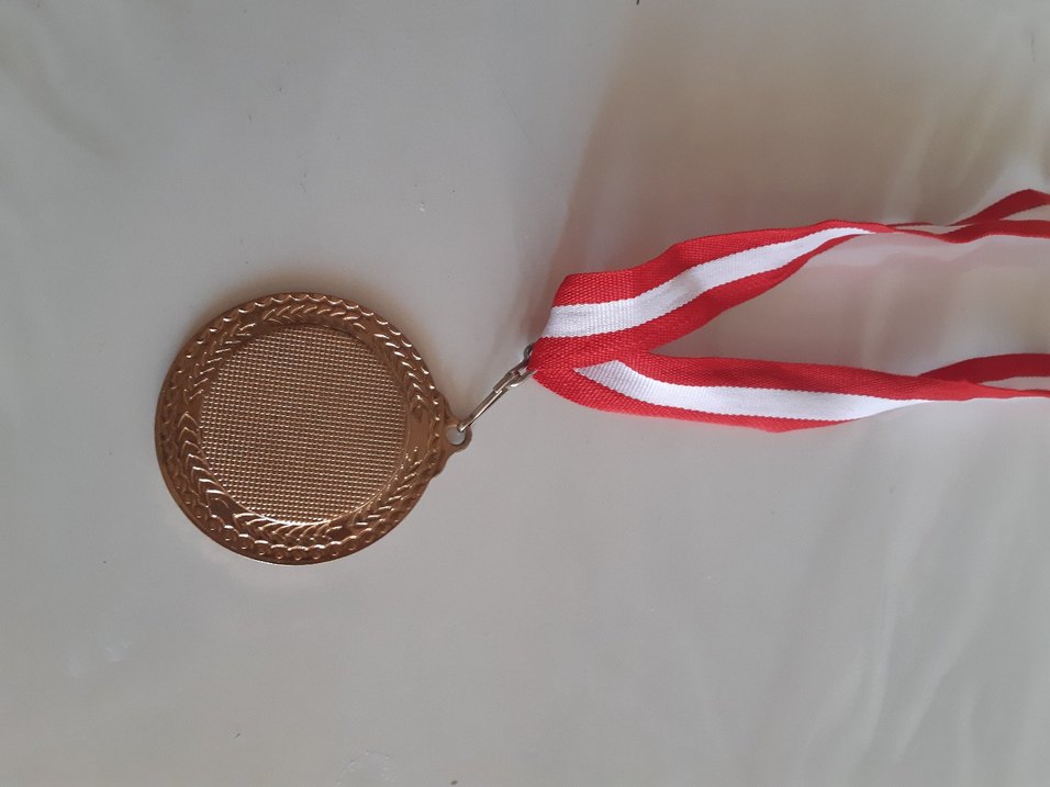 Madalya /Rozet - Görsel 2