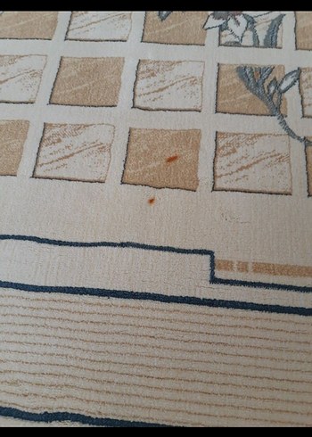 Bej Renkli Soyut Desenli Halı - Görsel 4