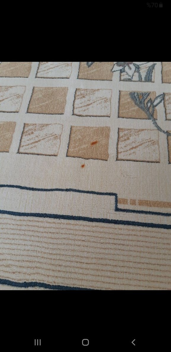 Bej Renkli Soyut Desenli Halı - Görsel 4