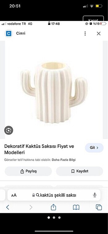 Dekoratif kaktüs saksı