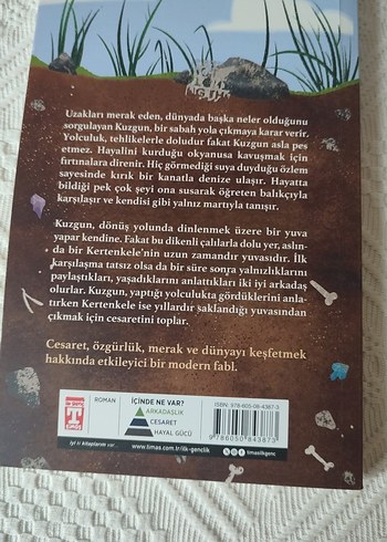  Kertenkele Eski Dostum Sanat Kitabı