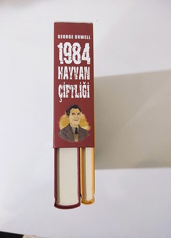  George orwell seti 