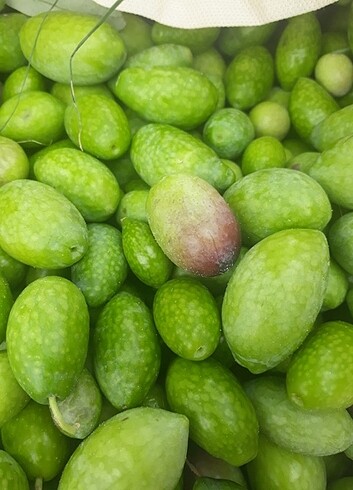 Zeytin
