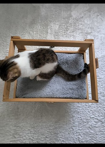 Ahşap Petek üstü Kedi Yatağı (yer yatağına da dönüşüyor) - Görsel 7