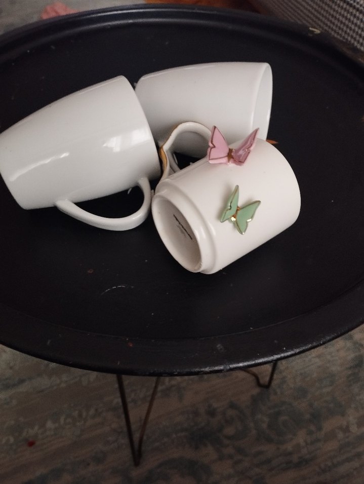 porland fincan - Görsel 3