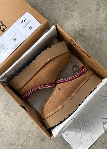 UGG Tazz Taba Slippers