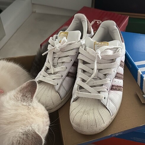 Adidas Superstar