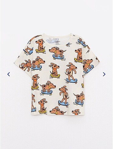 LC Waikiki 4 lü takım