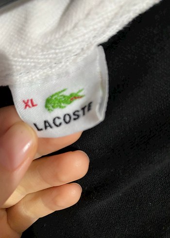 Lacoste Erkek Siyah Beyaz Çizgili Polo Tişört