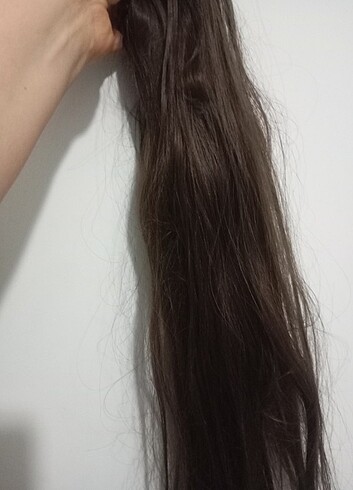 At kuyruğu uzun postij - Görsel 6