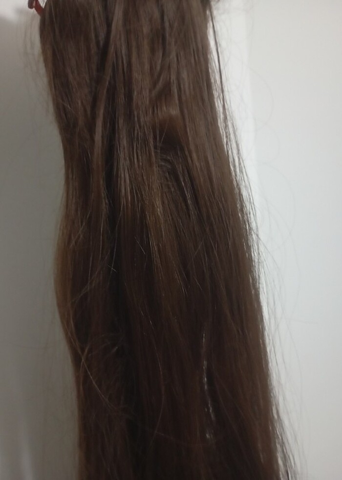 At kuyruğu uzun postij - Görsel 2