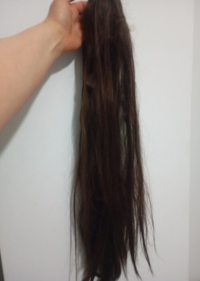 At kuyruğu uzun postij - Görsel 4