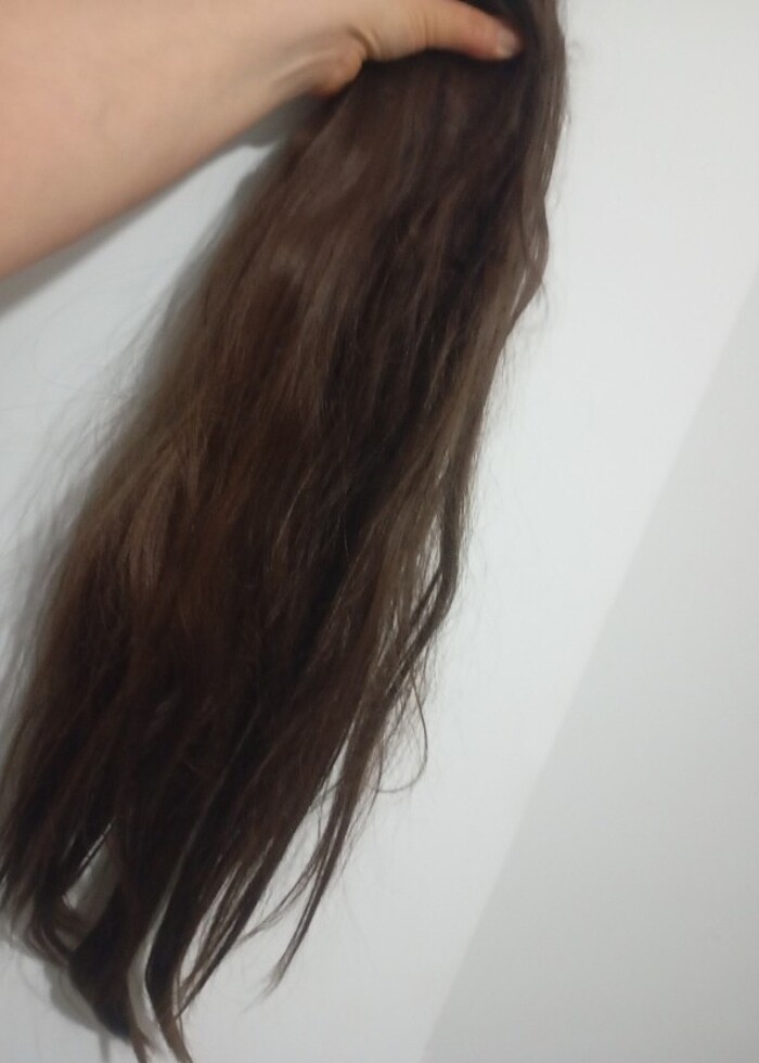 At kuyruğu uzun postij - Görsel 5